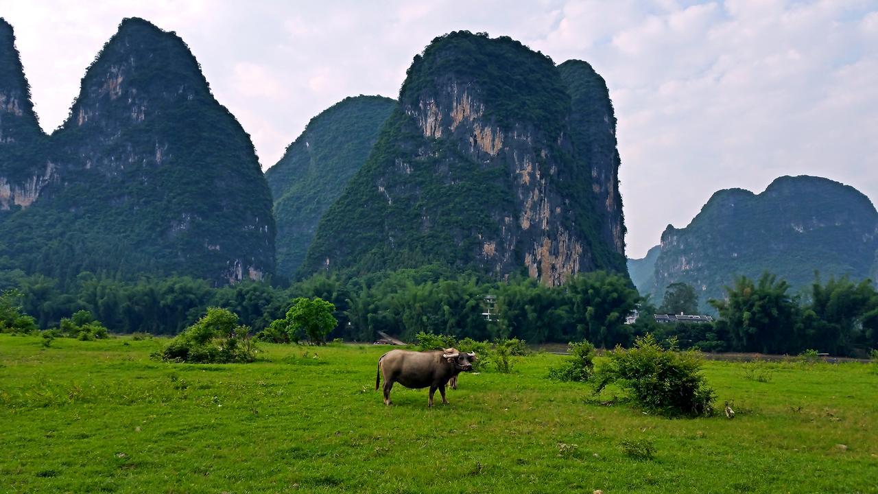 Li-River Island Resort Xingping Янгшуо Екстериор снимка